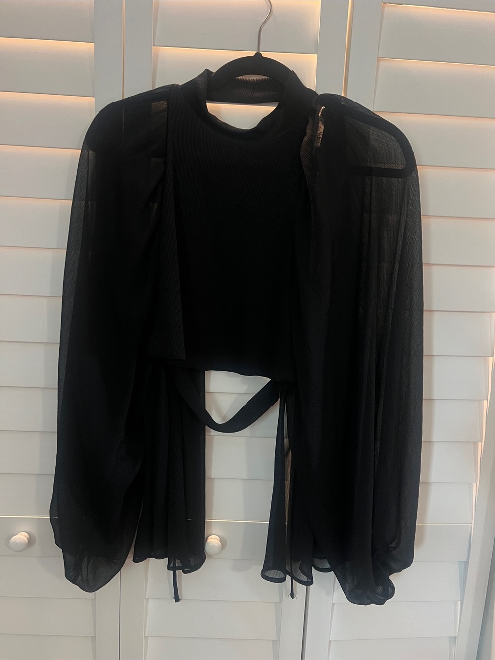 Zara Black Sheer Long-Sleeve Blouse